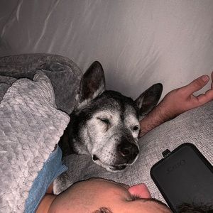 Meet your Posher, Lorin